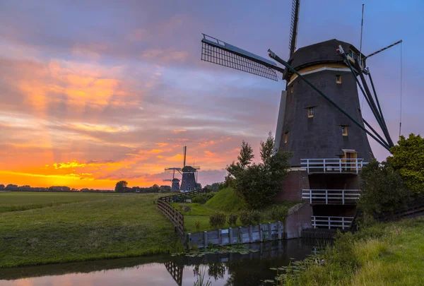 Row Three Historic Wooden Windmills Orange Sunset Dutch Polder Landscape — Stock Photo, Image