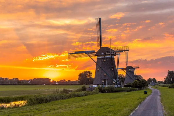 네덜란드의 풍경에 오렌지 역사적인 풍차의 — 스톡 사진