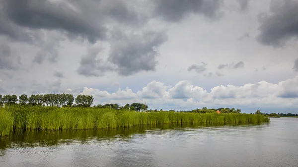 Riva Del Lago Con Canne Typha Sotto Cielo Nuvoloso Estate — Foto Stock