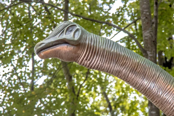自然の森でモデルのブロントサウルス頭 — ストック写真