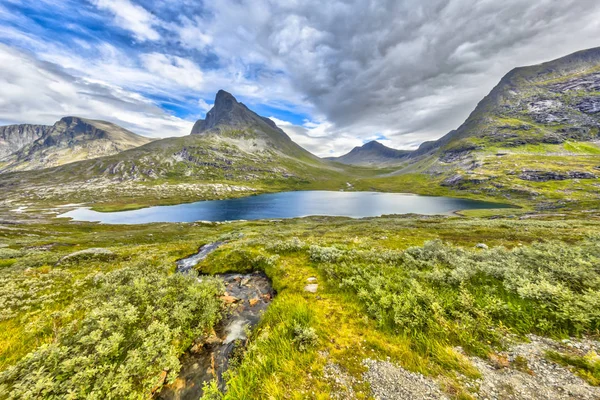 Vegetación Alpina Picos Montaña Escarpados Largo Carretera Trollstigen Andalsnes Stranda —  Fotos de Stock