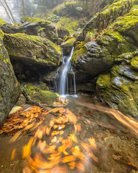 Kis Vízesés Hegyi Patak Motion Blur Őszi Levelek Medencében Lombhullató — Stock Fotó