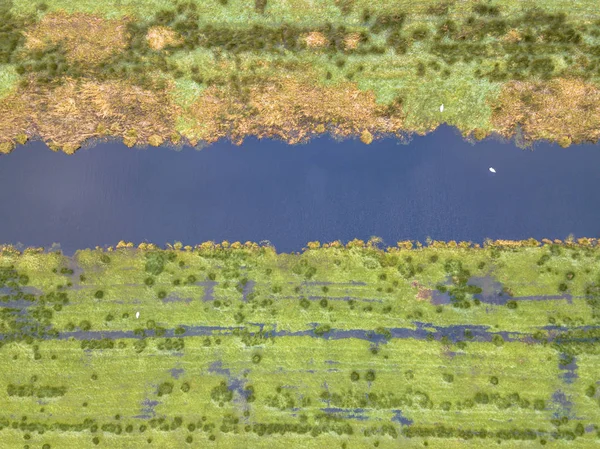 Vista Aérea Pantanos Cultivados Con Canales Pastizales Húmedos — Foto de Stock