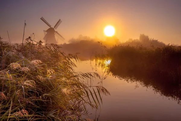 Egy Ködös Reggel Szeptember Mocsaras Területen Hagyományos Holland Szélmalom — Stock Fotó