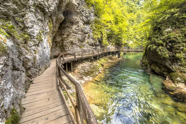 Soteska Vintgar Gorge Con Turisti Piedi Sul Lungomare Lungo Fiume — Foto Stock