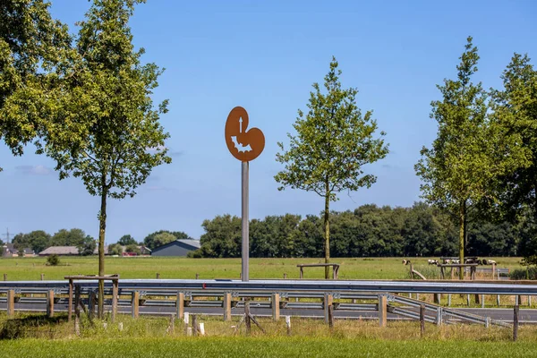 Drachten Países Baixos Junho 2016 Vida Selvagem Funcional Atravessando Lúpulo — Fotografia de Stock