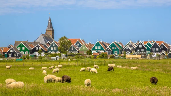 Történelmi Holland Village Színes Fából Készült Házak Templom Juhokat Előtérben — Stock Fotó