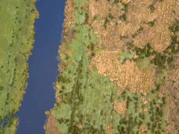 Vista Aerea Paludi Agricole Con Canale Prati Umidi — Foto Stock