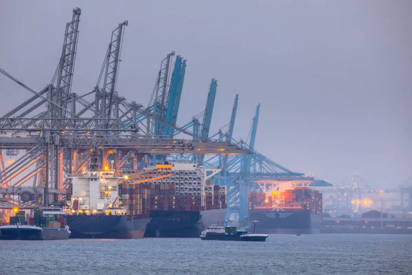 Rotterdam Europoort Industrial Harbor Landscape Docked Ships Loaded Cranes — Stock Photo, Image