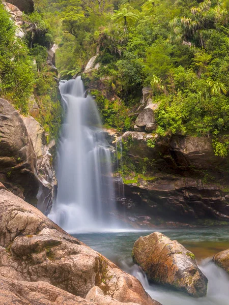 Yağmur Ormanları Şelale Yerel Ormandaki Dağlar Abel Tasman Milli Parkı — Stok fotoğraf