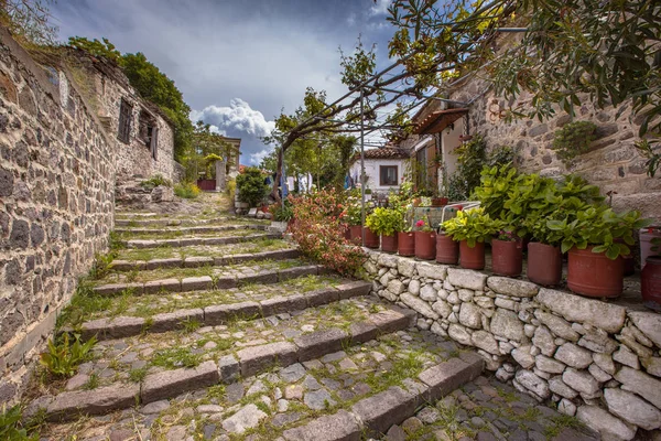 Rocky Alleyway Green Plants Historic Village Molyvos Lesbos Greece — Stock Photo, Image