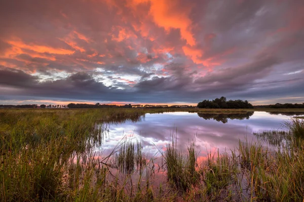 オランダの Westerwolde 自然保護区の自然の景観の湿原に沈む夕陽 — ストック写真