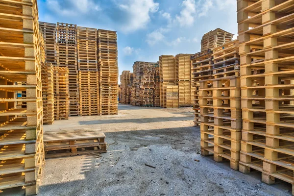 Pilhas Paletes Carga Tipo Euro Numa Área Actividade Reciclagem — Fotografia de Stock