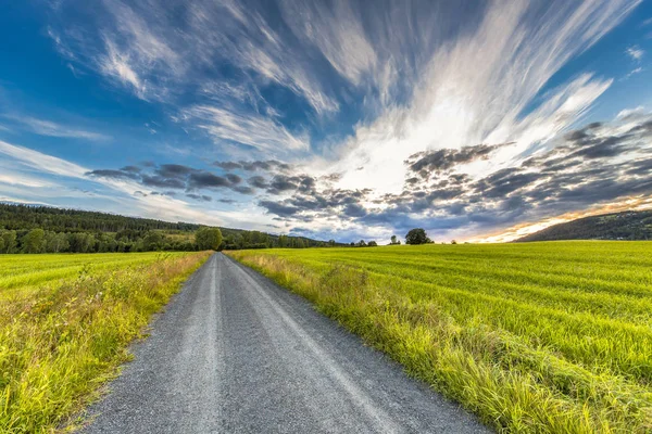 Coucher Soleil Été Sur Route Campagne Norvégienne — Photo