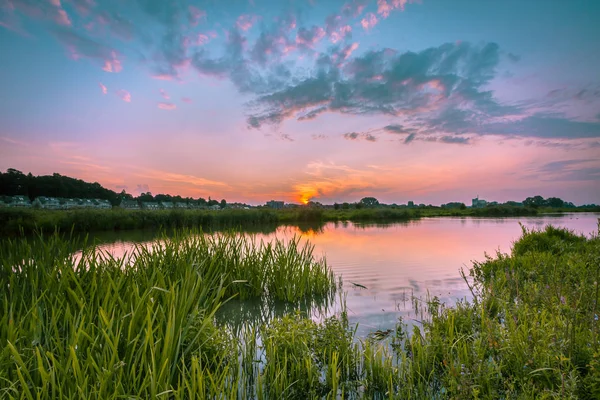 Plaines Inondables Avant Pays Rhin Avec Ville Wageningen Toile Fond — Photo