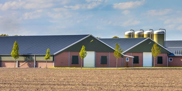 荷兰农业景观中的大型现代谷仓 — 图库照片