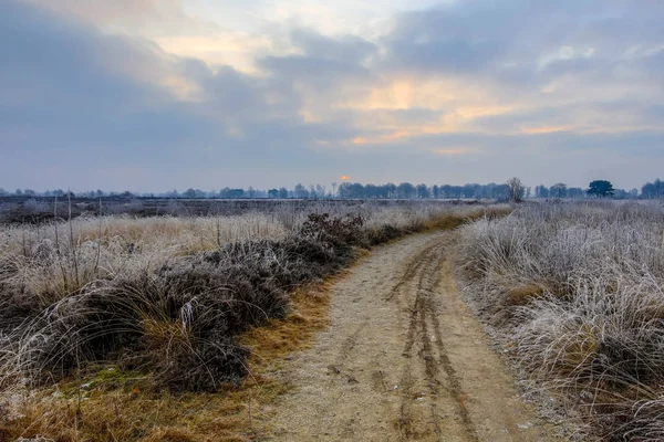 冷ややかなヒースの Balloerveld 自然保護区の道冬の朝日の出 — ストック写真