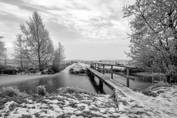 荷兰德伦特省北部的冻水和人行天桥 的一个寒冷的早晨 — 图库照片