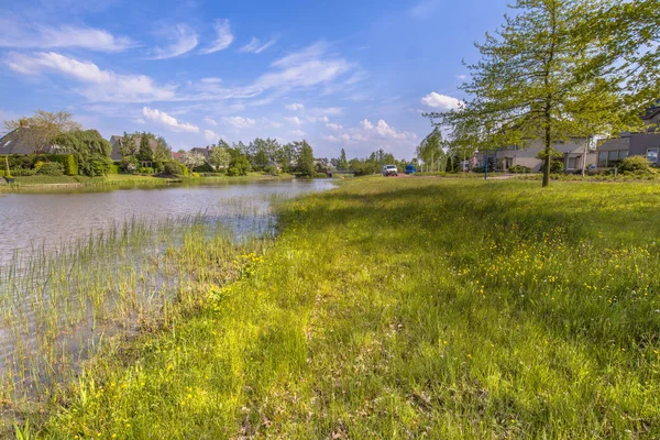 Екологічна Riverbank Міському Районі Drachten Міста Нідерландах — стокове фото