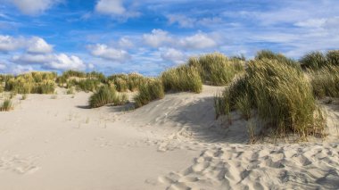 Kıyı kumulları manzara Hollandalı Wadden Adası
