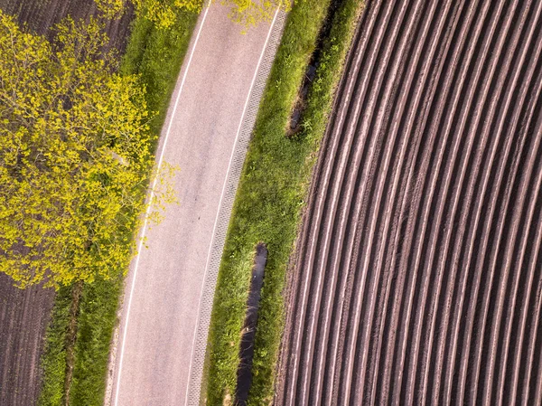 Aeronave Campo Potatoe Arado Semeado Paisagem Agrícola Com Estrada Árvore — Fotografia de Stock