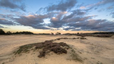 Günbatımı kum tepeleri Hoge Veluwe Milli Parkı ili Gelderland, Hollanda üzerinden