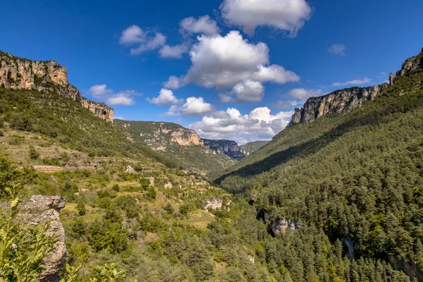 Vista Sulla Verde Valle Del Fiume Tarn Vicino Villaggio Rozier — Foto Stock