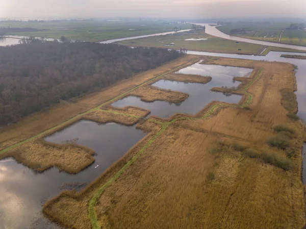 在荷兰国家公园景观Oude Venen的人工直方形池塘上行走 — 图库照片