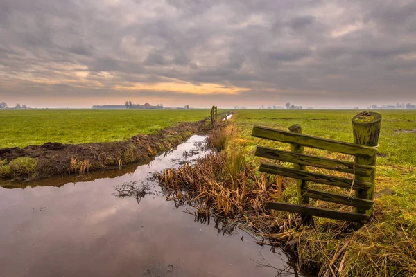 Paesaggio Polder Una Giornata Invernale Nuvolosa Frisia Paesi Bassi — Foto Stock
