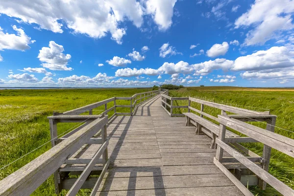 Passerella Legno Con Posti Sedere Una Riserva Naturale Paludosa Svezia — Foto Stock