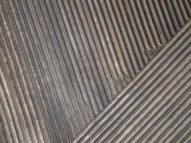 Hollanda 'daki tarımsal arazide sürülen ve ekilen patates tarlaları.