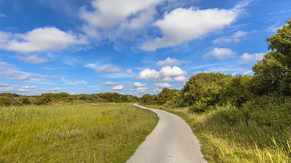 Piste Cyclable Travers Les Dunes Sur Île Wadden Schiermonnikoog — Photo