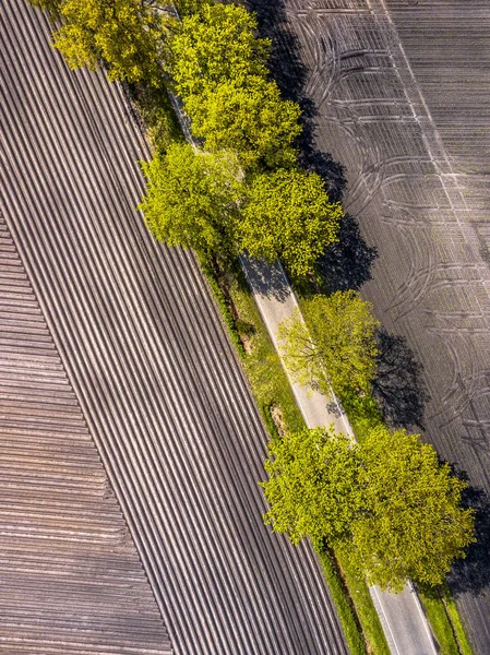 Aerial Ploughed Sown Potatoe Field Agricultural Landscape Road Tree Netherlands — Stock Photo, Image