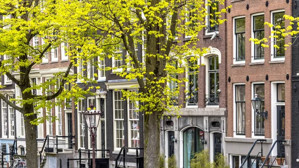 Amsterdam Detail Historic Facades Canal Houses Seen Fresh Green Spring — Stock Photo, Image