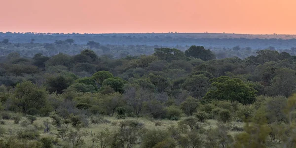 Savane africaine vue d'ensemble de la soirée — Photo