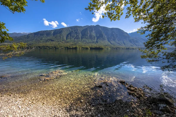 Emerald waters of lake Bohinj — Stock Photo, Image