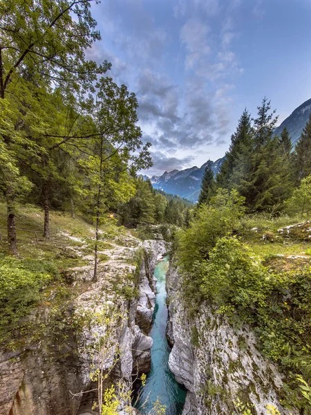 Soca river Gorge — Stock Photo, Image