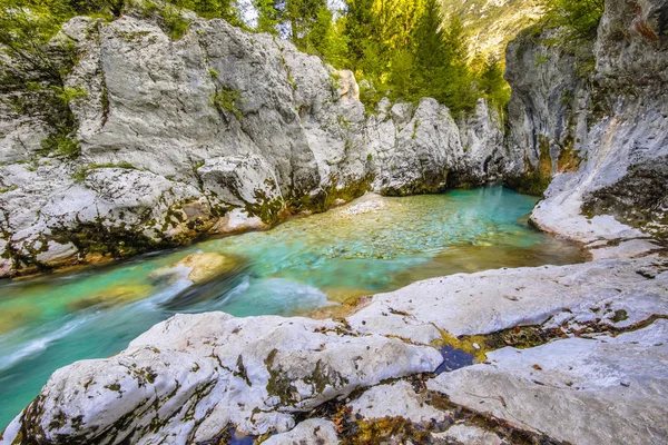 Turquoise colored Soca river — Stock Photo, Image