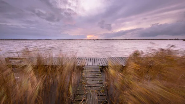 Pier met zwaaiende rieten — Stockfoto