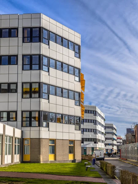 Edifícios do hospital branco em uma fileira — Fotografia de Stock