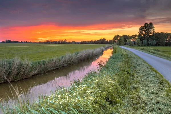 Zemědělská krajinná scéna — Stock fotografie