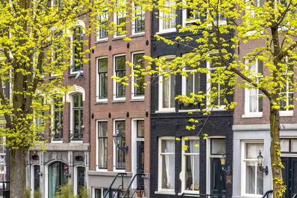 Amsterdam canal houses detail — Stock Photo, Image