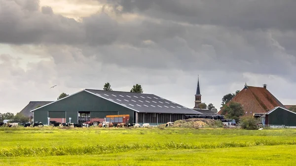 Celeiro de fazenda de laticínios no campo holandês — Fotografia de Stock