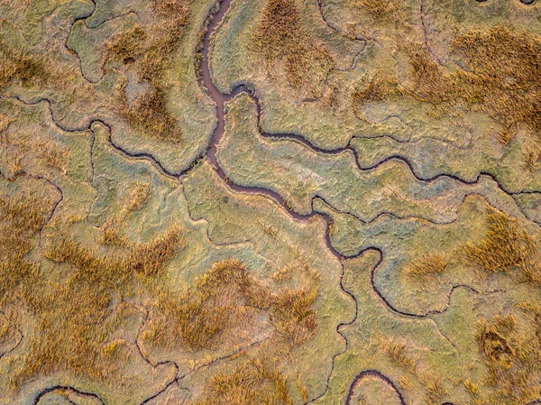 Aerial view of tidal marshland — Stock Photo, Image
