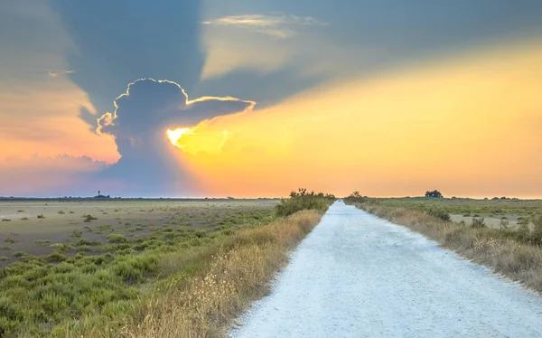 Carretera por lagunas de Camarque — Foto de Stock