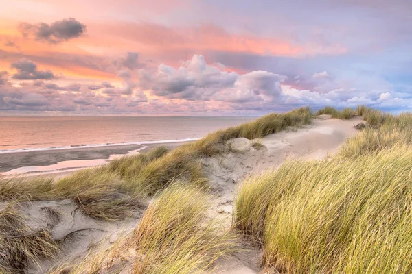 Visa över Nordsjön från dune — Stockfoto