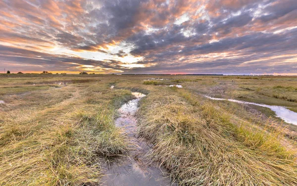 Kanalen i naturreservatet Saeftinghe i tidevannssonen – stockfoto