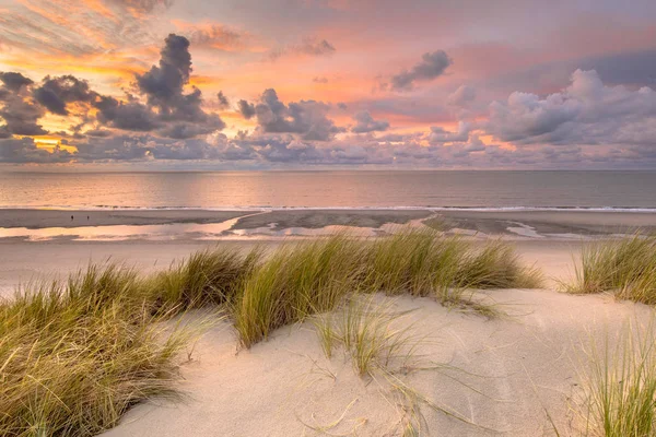 Visa över Nordsjön från dune — Stockfoto