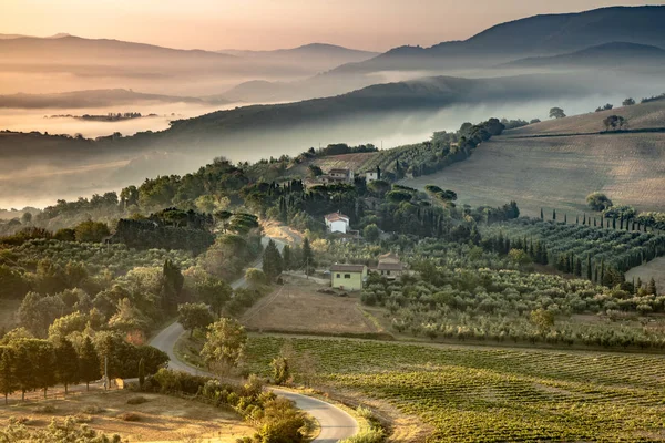 Tuscany mistige heuvels panoramisch uitzicht — Stockfoto