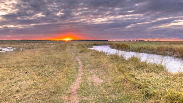 Wandelpad in getijde moeras natuurreservaat Saeftinghe — Stockfoto